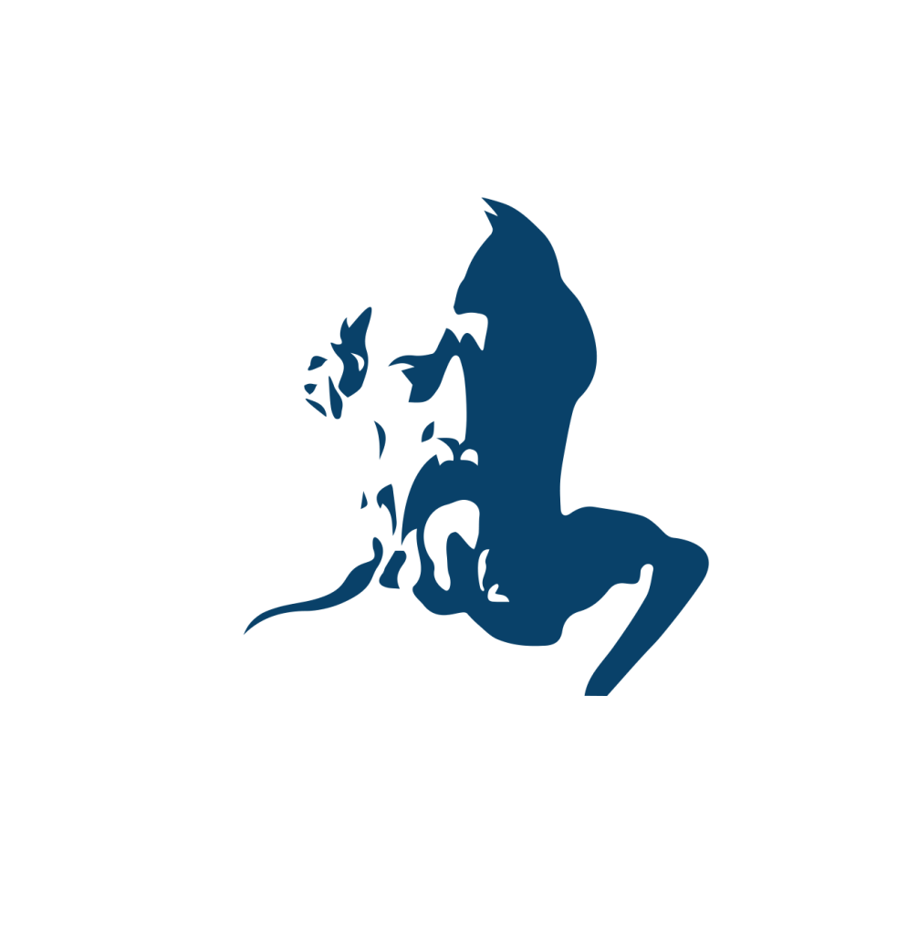 Τμήμα Αρχειονομίας, Βιβλιοθηκονομίας και Συστημάτων Πληροφόρησης